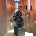 Reflexion Bronze Reflexion Bronze