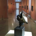Reflexion Bronze Reflexion Bronze
