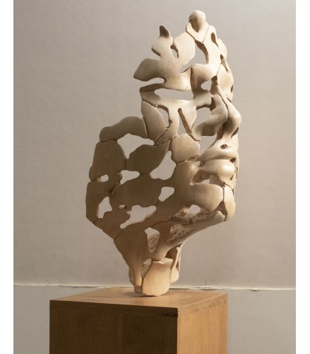 Essence of youth wood 72