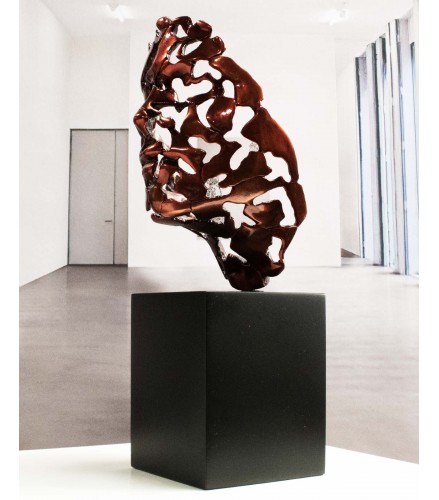 Essence of male youth red fire