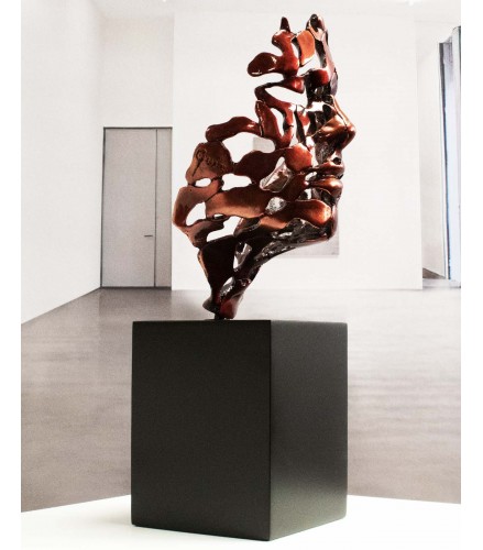 Essence of male youth red fire