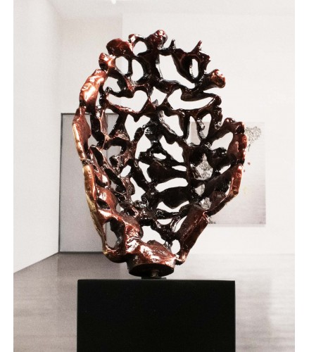 Essence of male youth red fire