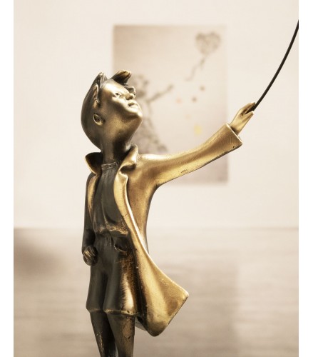 A boy with balloon
