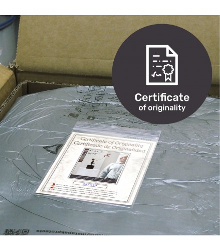 Girl with balloon dog