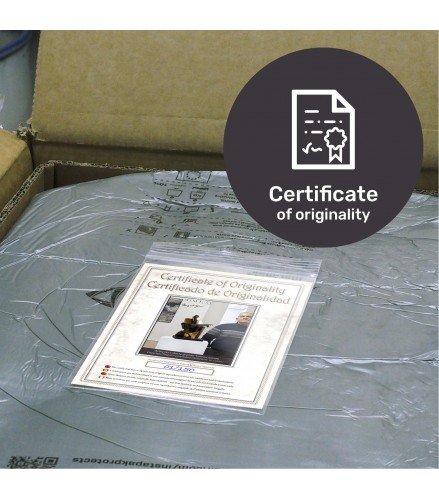 Big Guitarist Arlequin