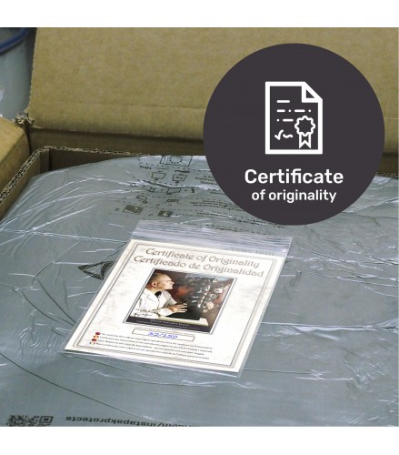 The Essence of Masculinity Bronze