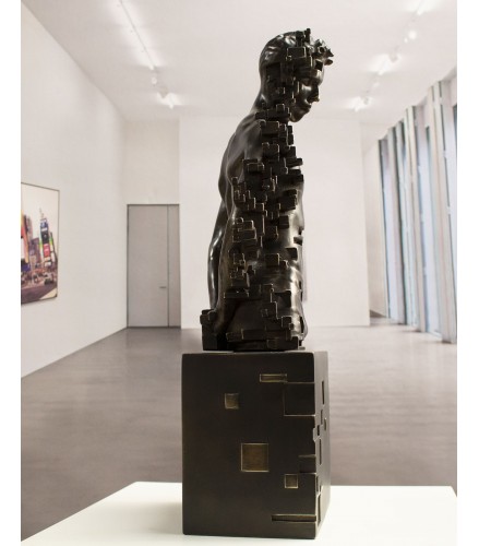 Pixelated young torso