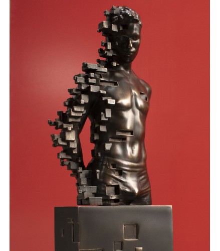 Pixelated young torso