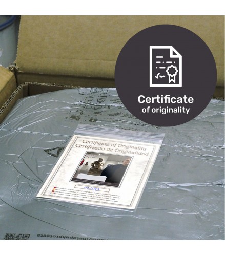 Pixelated young torso