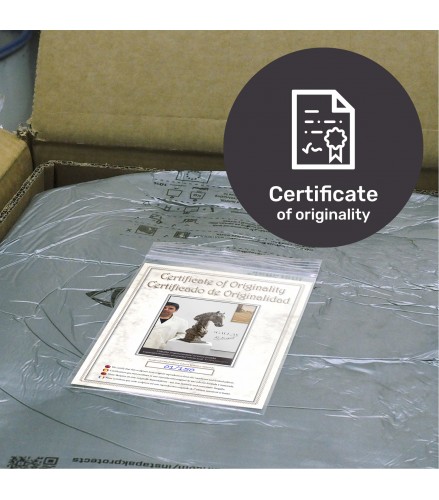 Impressionist horsehead