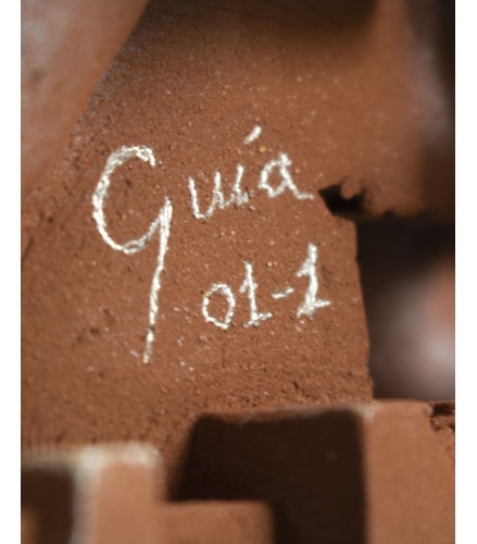 Pixelated young torso White