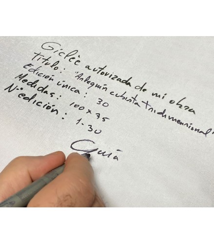 Gicleé Tridimensional Cubism Harlequin