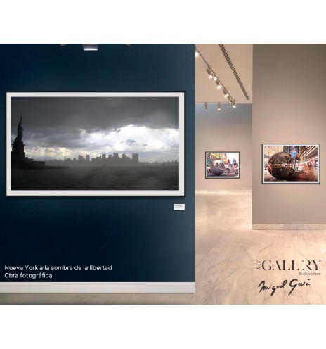 New York in the shadow of freedom