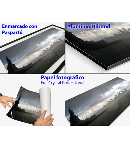 New York in the shadow of freedom