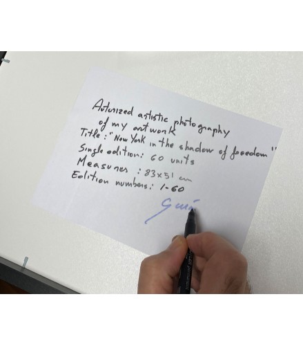 New York in the shadow of freedom