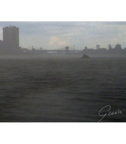 New York in the shadow of freedom