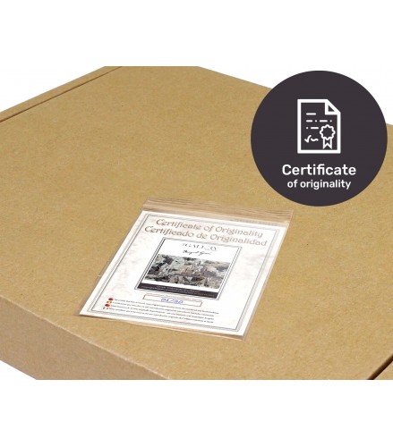 Gicleé Reassembling the Cubism