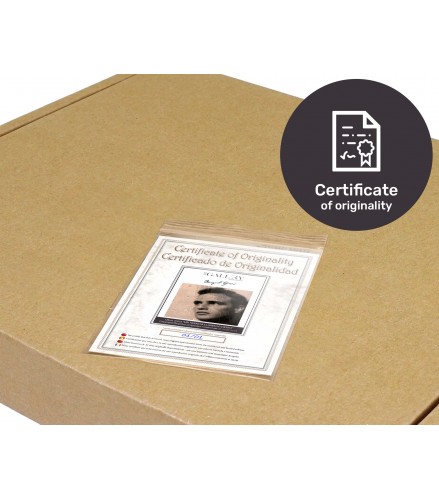 A Streetcar Named Desire