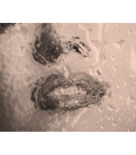 Always Marilyn EDITION