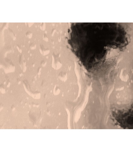 A Streetcar Named Desire 70