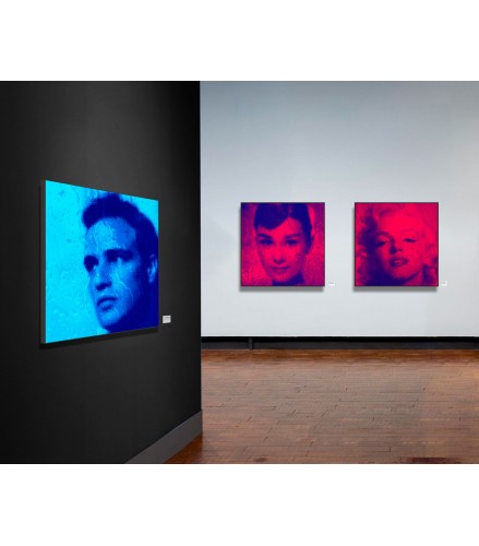 Edition A Streetcar Named Desire 50 BLUE