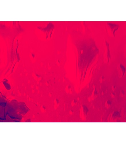 Edition Always Marilyn 50 RED