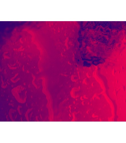 Always Marilyn Edition RED