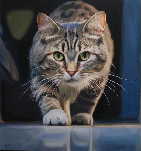 Feline