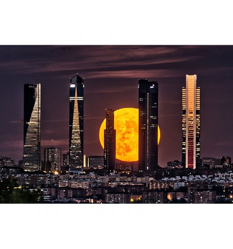 Moon Towers Acanto 1 44cm - Jazzy Moons 2