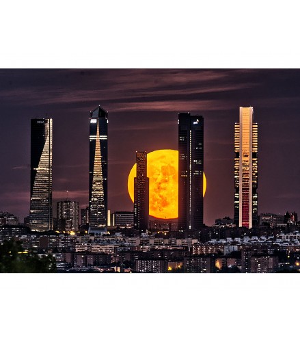 Moon Towers Acanto 1 44cm - Jazzy Moons