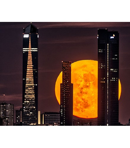 Moon Towers Acanto 1 44cm - Jazzy Moons