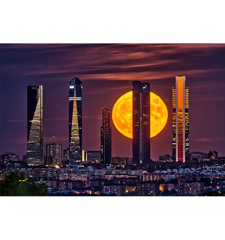 Moon Towers Acanto 2 44cm - Jazzy Moons 2
