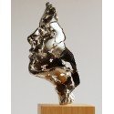 Sculpture The Essence of Youth in nickel