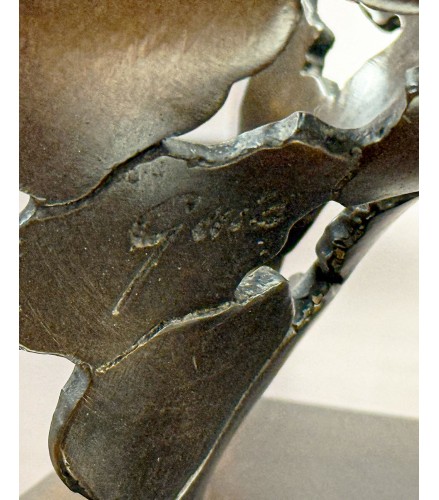 Essence of Female Youth