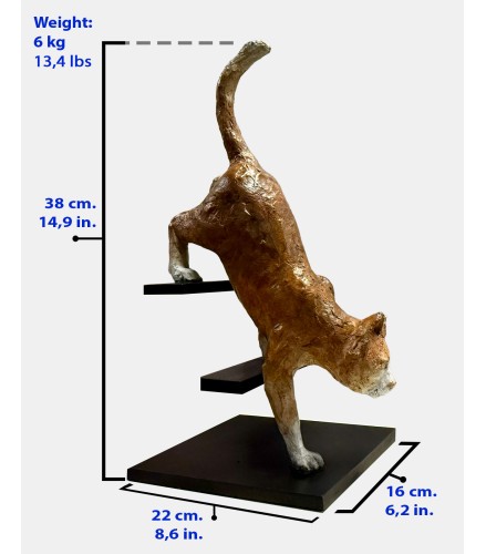 Feline Stealth Oxide