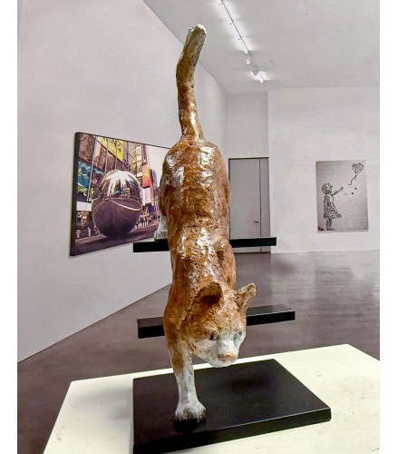 Feline Stealth Oxide