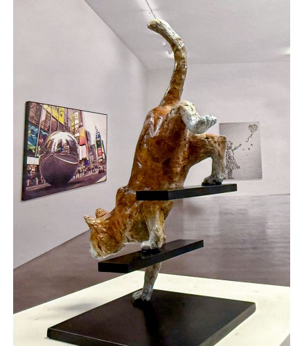 Feline Stealth Oxide