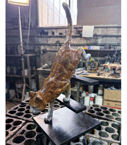 Feline Stealth Oxide