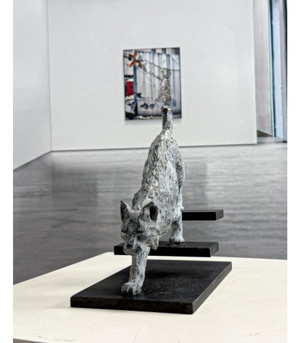 Lynx