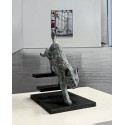 Lynx