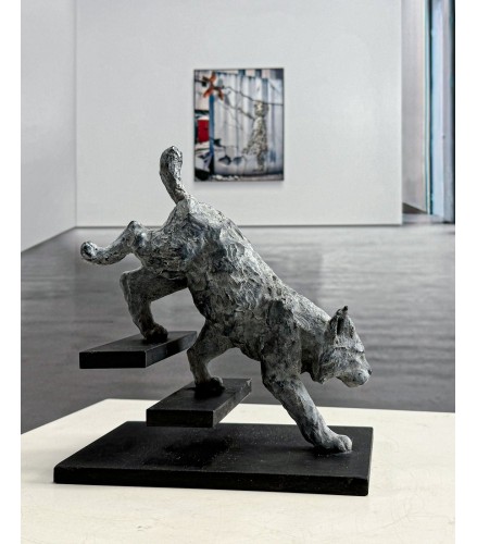 Lynx