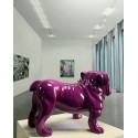 Bulldog