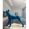 Doberman