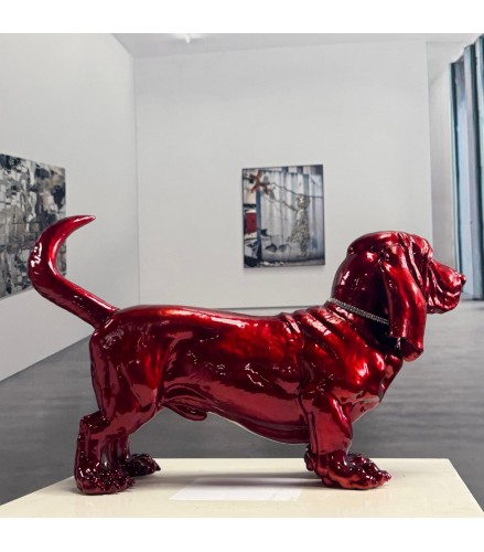 Dachshund