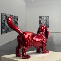 Dachshund