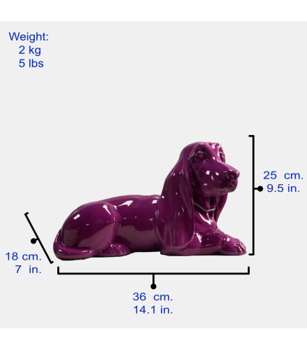 Basset Hound